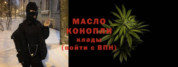 молекула духа Лабытнанги