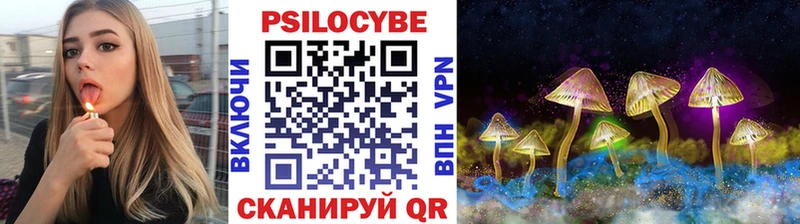 Купить закладки  Кольчугино  Псилоцибиновые грибы MAGIC MUSHROOMS 